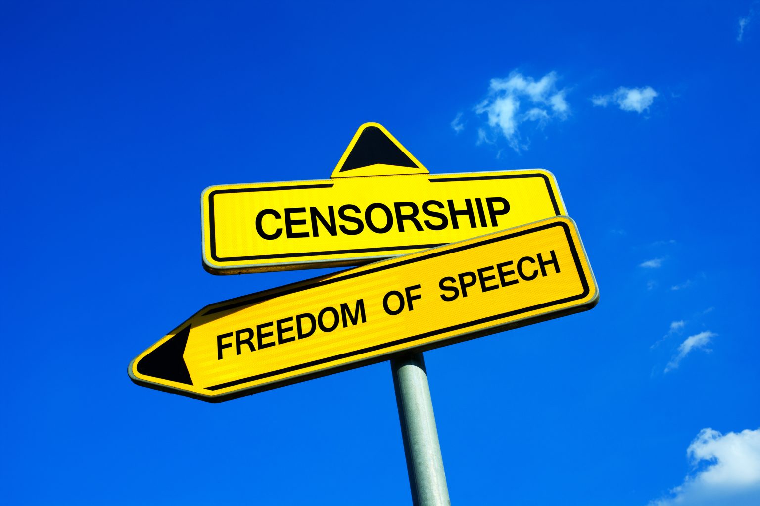 Why Protect Free Speech