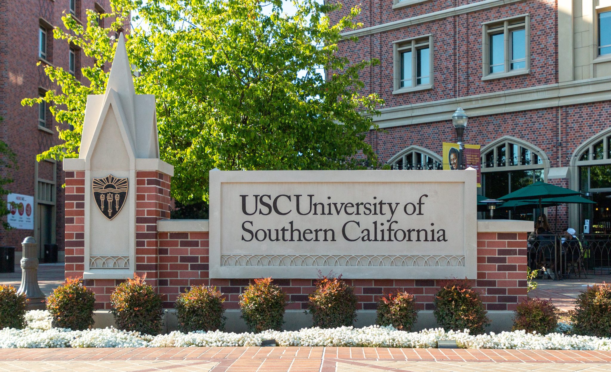 Why Ill Never Be Allowed To Teach At Usc Again — The James G Martin Center For Academic Renewal