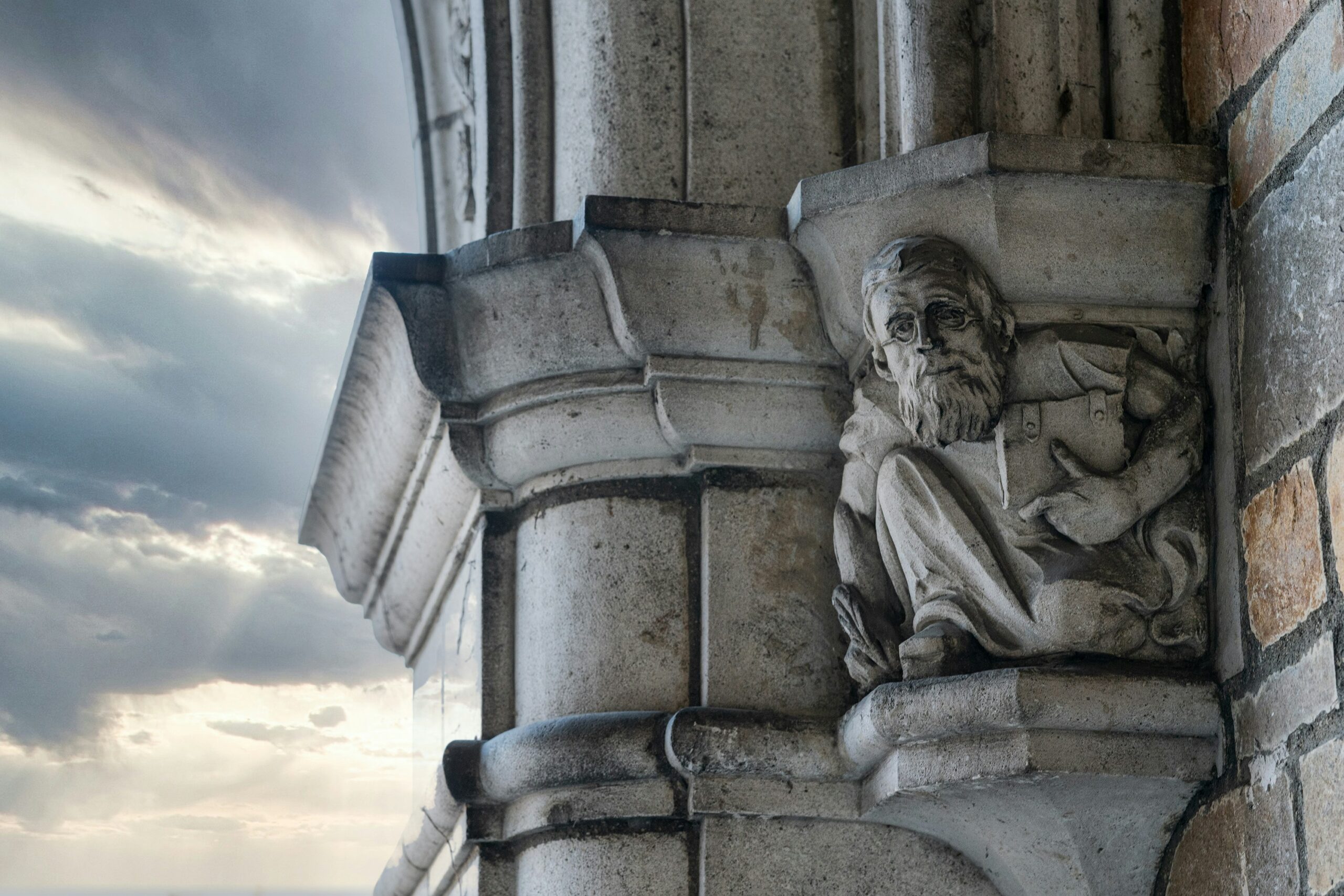 New Data on the Plight of Adjuncts The James G. Martin Center for Academic Renewal